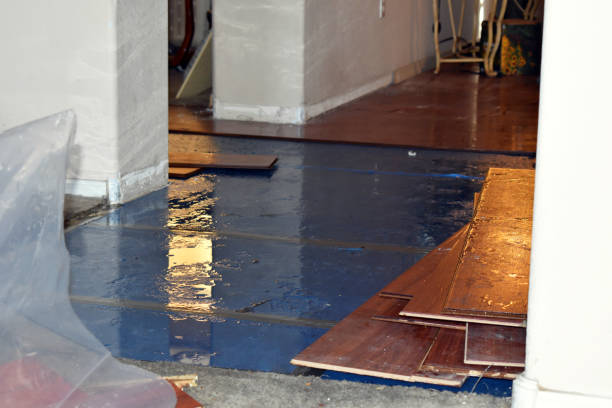 Professional Basement Flood Cleanup technician working in Parker, FL